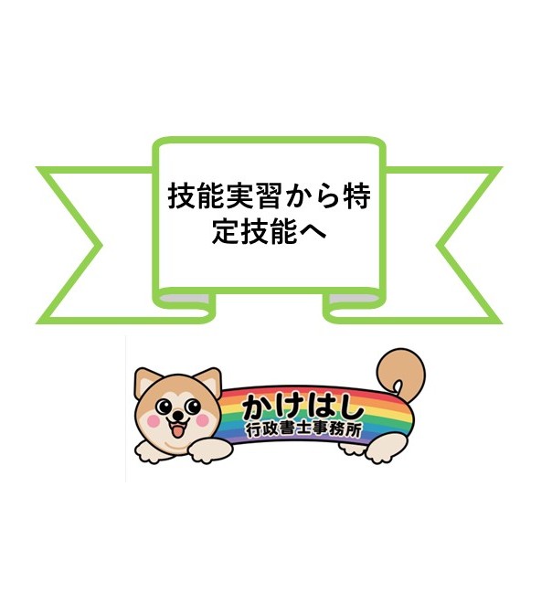 技能実習から特定技能へ