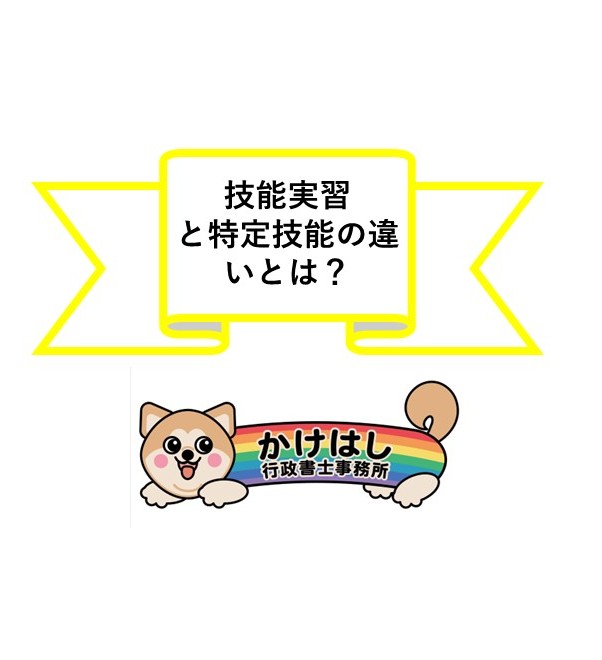 技能実習と特定技能の違いとは？